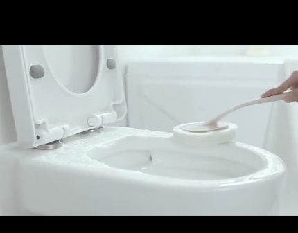 Toilet brush (Tsw001)