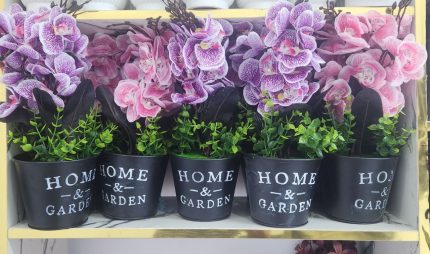 Home and Garden Flower